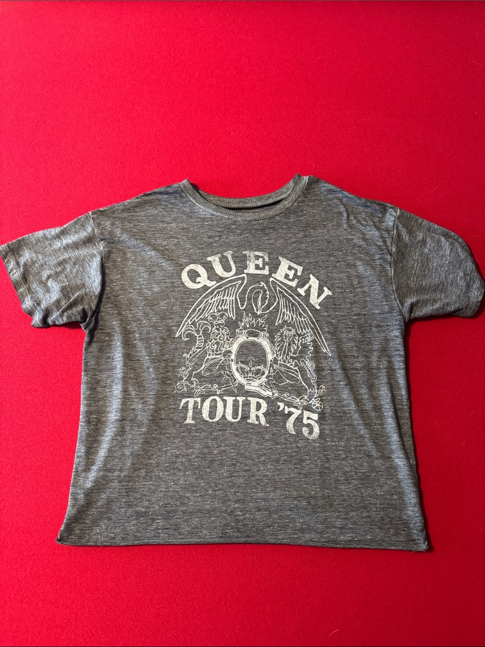 American Eagle Outfitters Gray Queen Tour '75 Graphic Tee